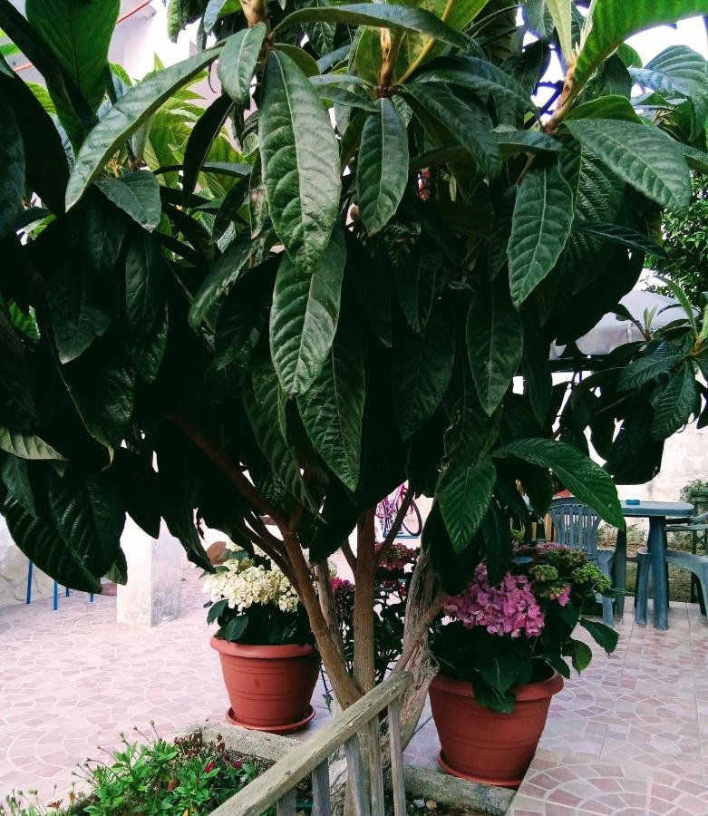 B&B Fenice Barocca Лечче Экстерьер фото